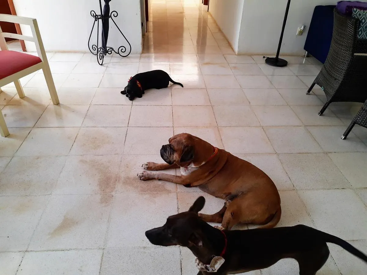 Villa Airport B&B Familiar Cancún Bed & Breakfast